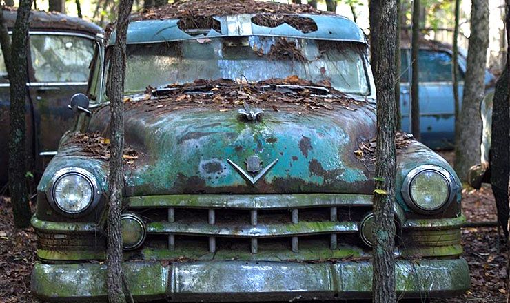 old truck in the wood