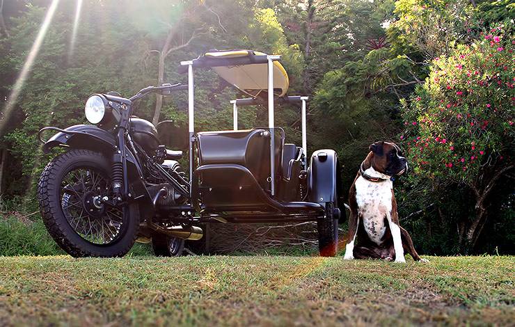 An aircraft designer built sidecar for his dog